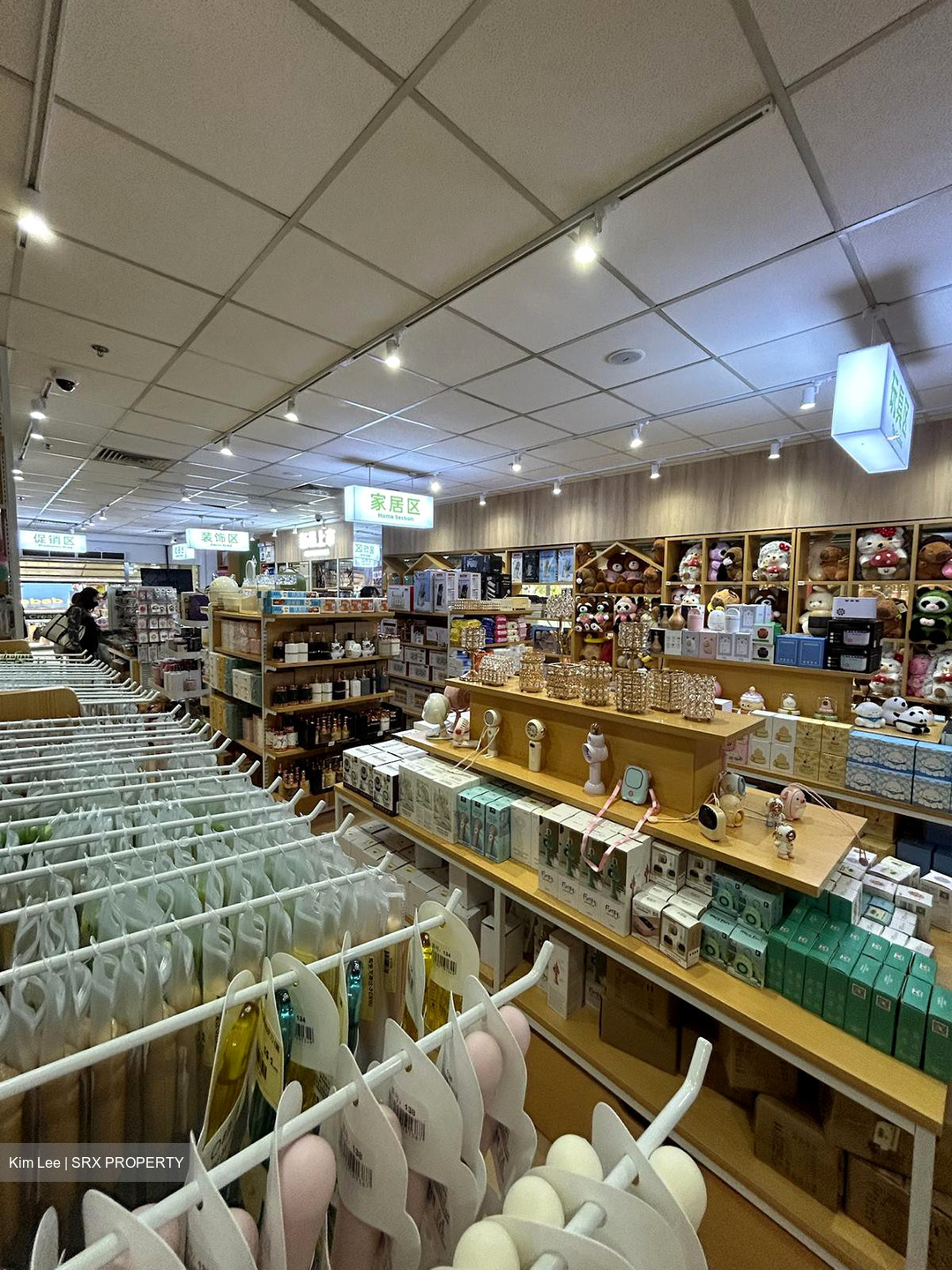 Lucky Plaza (D9), Retail #541481601